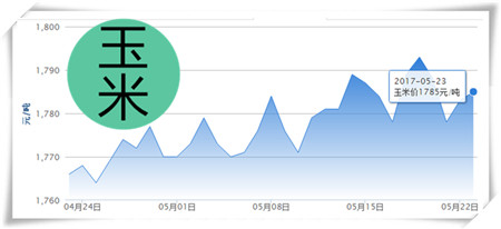 5月23日猪评：本周消费或小幅提升 猪价反弹依旧缺乏基础